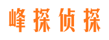 长江新区市调查取证